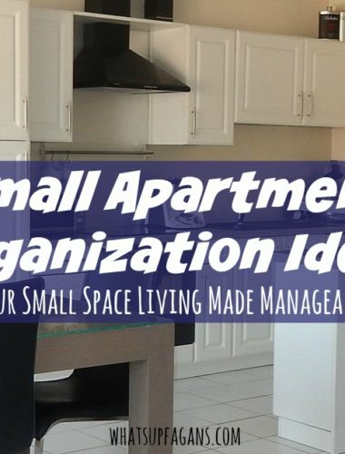 In a small apartment organization ideas are very helpful! These are some great tips, including some DIY ideas for storage solutions. These will help me manage our home.