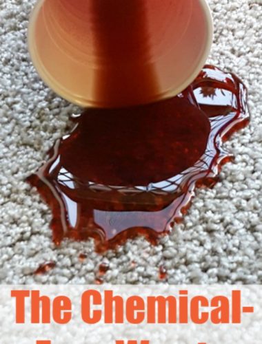 Spot Cleaner | Carpet Stain Removal | DIY Carpet stain remover | chemical-free natural stain remover | cleaning tip hack tutorial | red Kool-Aid spill stain | Coffee stain | Rug Stain | Grape Juice Stains