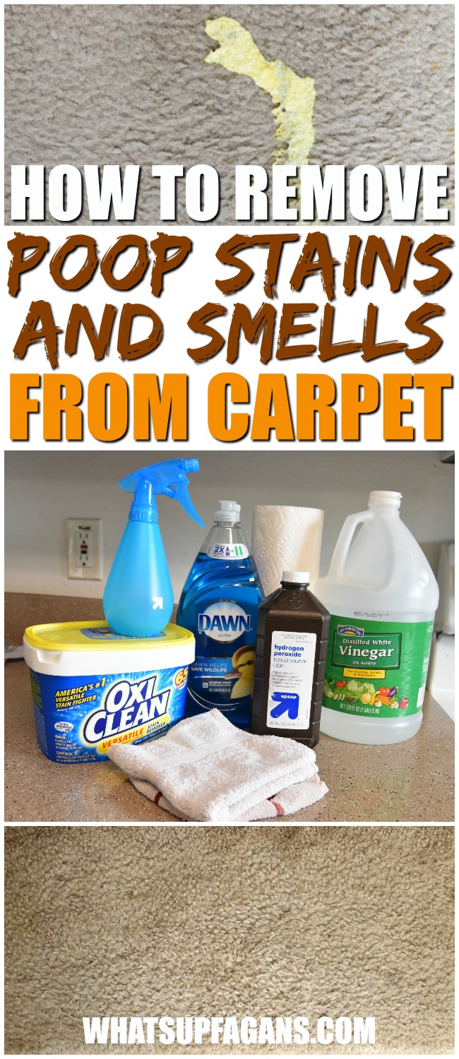 Remove Stains And Smells From Carpets With This Diy Solution