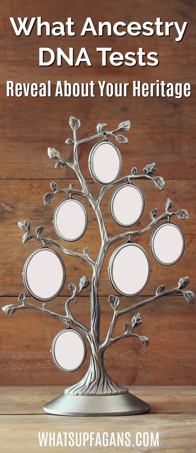 Ancestry Dna Reviews How To Use Them And What You Can Expect