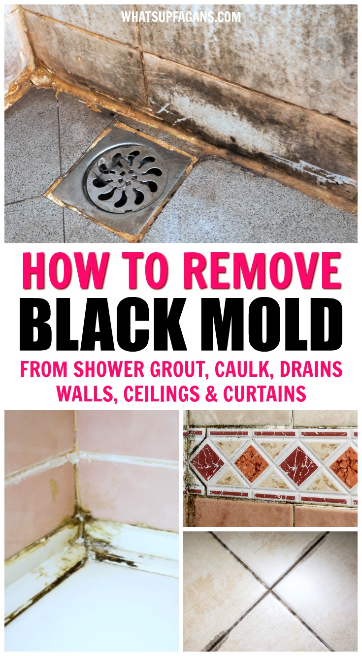 Black Mold In Shower - Is It A Cause Of Worry And What To Do About It? - AQA
