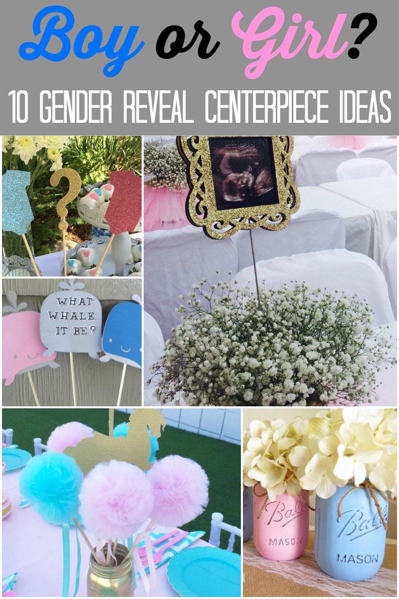 Easy Diy Gender Reveal Decorations | Shelly Lighting